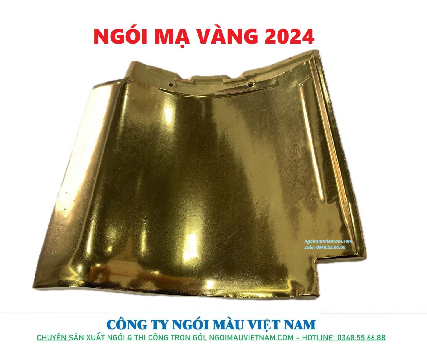 NGÓI MẠ VÀNG 2024 